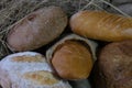 loaves of bread from the bakery in the store. Burlap and straw with pastries. Various loaves, baguettes. Royalty Free Stock Photo