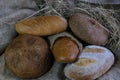 loaves of bread from the bakery in the store. Burlap and straw with pastries. Various loaves, baguettes. Royalty Free Stock Photo