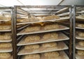 Loaves of bread in a proofing room