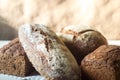 Loaves of fresh sourdough artisan whole wheat bread