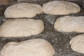 Loaves of freshly unbaked and not yet crunchy bread