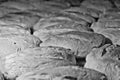 Loaves of freshly unbaked and not yet crunchy bread Royalty Free Stock Photo