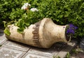 The Lobelia And The White Pelargonium Together