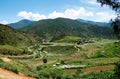 Lobesa valley with monastery Chimi Lhakhang