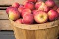 Lobo apples in a basket Royalty Free Stock Photo