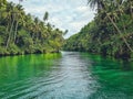 Loboc River, Bohol Island, Philippines.