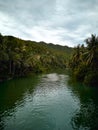 Loboc River Bohol. Philippines . Drone Royalty Free Stock Photo