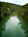 Loboc River Bohol. Philippines . Drone Royalty Free Stock Photo