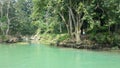 Loboc river, Philippines Royalty Free Stock Photo