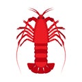 Lobster animal top view vector flat icon. Seafood sea isolated red illustration. Food restaurant cartoon crab mascot exotic Royalty Free Stock Photo