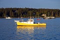 Lobster boats at dawn