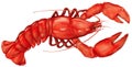 Lobster Royalty Free Stock Photo