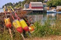 Lobster buoys and traps Royalty Free Stock Photo