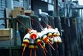 Lobster Buoys on Wharf in Portland, Maine Royalty Free Stock Photo