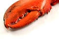 Lobster Claw Royalty Free Stock Photo