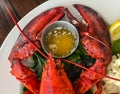 Lobster Claws for Dinner Royalty Free Stock Photo