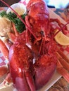 Lobster and Crab Claw Platter Royalty Free Stock Photo