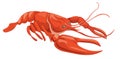 Lobster, Crawfish, Crayfish Underwater Animal, Raw Restaurant Seafood. Crustacean Wild Creature With Claws, Langouste