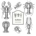 Lobster and Crayfish Illustrations