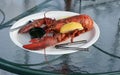 Lobster dinner Royalty Free Stock Photo