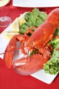 Lobster Dinner Royalty Free Stock Photo