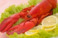 Lobster Dinner Royalty Free Stock Photo