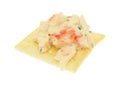 Lobster dip on a saltine cracker Royalty Free Stock Photo
