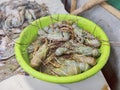 Lobster fish in the fish market. mohona digha fish market India.