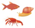 Lobster fish smail