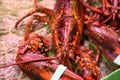 Lobster on foodmarket close up