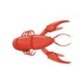 Lobster, fresh seafood cartoon vector Illustration