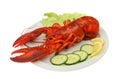 Lobster and garnish Royalty Free Stock Photo