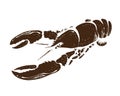 Lobster hand drawn vector illustration