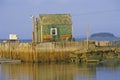 Lobster house on edge of Penobscot Bay in Stonington ME in Autumn