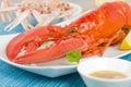 Lobster and Langoustines Royalty Free Stock Photo