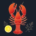 Lobster with lemon and dill Royalty Free Stock Photo