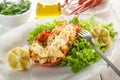 Lobster with mayonnaise sauce Royalty Free Stock Photo