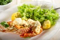 Lobster with mayonnaise sauce Royalty Free Stock Photo