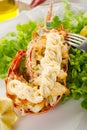 Lobster with mayonnaise sauce Royalty Free Stock Photo