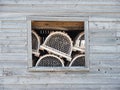 Lobster nets and window