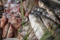 Various fresh seafood and fishes in fish market Royalty Free Stock Photo