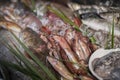Various fresh seafood and fishes in fish market Royalty Free Stock Photo
