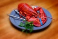 Lobster Platter Royalty Free Stock Photo