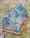 Lobster Pot on a some green grass background.