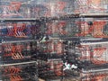 Lobster pots x factor Royalty Free Stock Photo