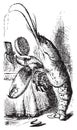 Lobster primping before a mirror - Alice`s Adventures in Wonderland original vintage engraving Royalty Free Stock Photo