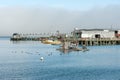 Lobster processing facility