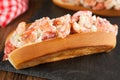 Lobster roll Royalty Free Stock Photo