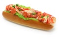 Lobster roll Royalty Free Stock Photo