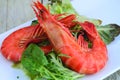 Lobster salad